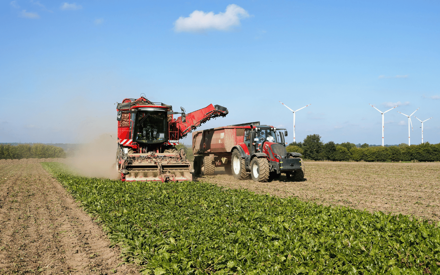 Empresas agrícolas